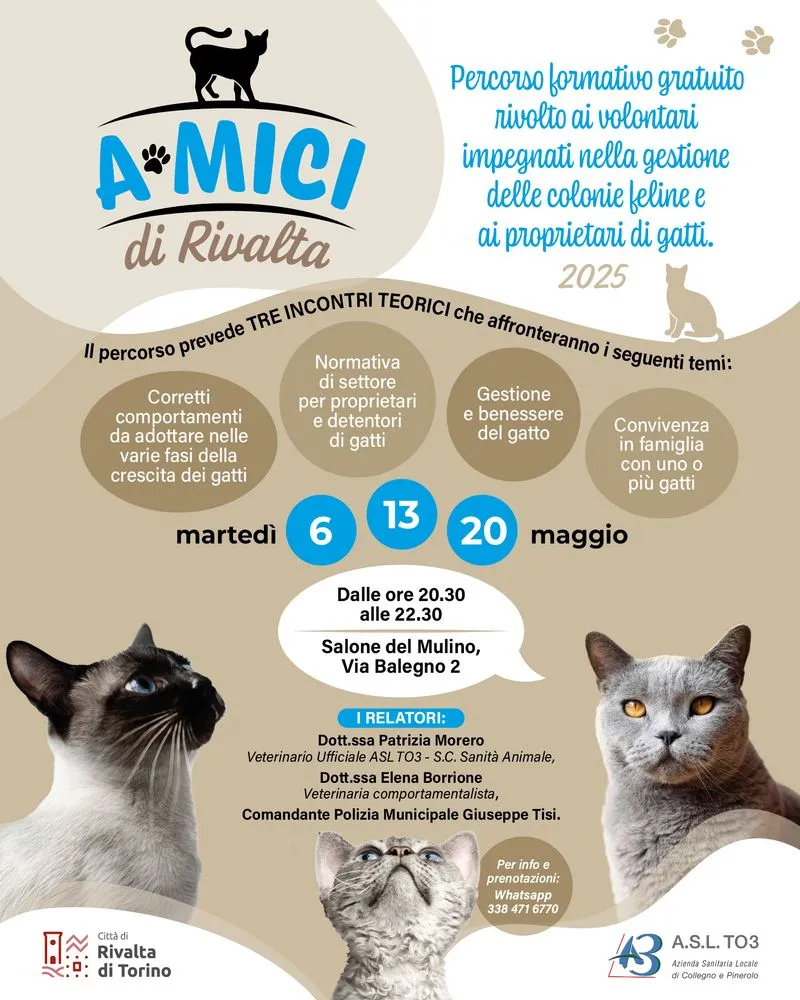 RIVALTA - Il Comune organizza un percorso formativo gratuito per volontari delle colonie feline e proprietari di gatti
