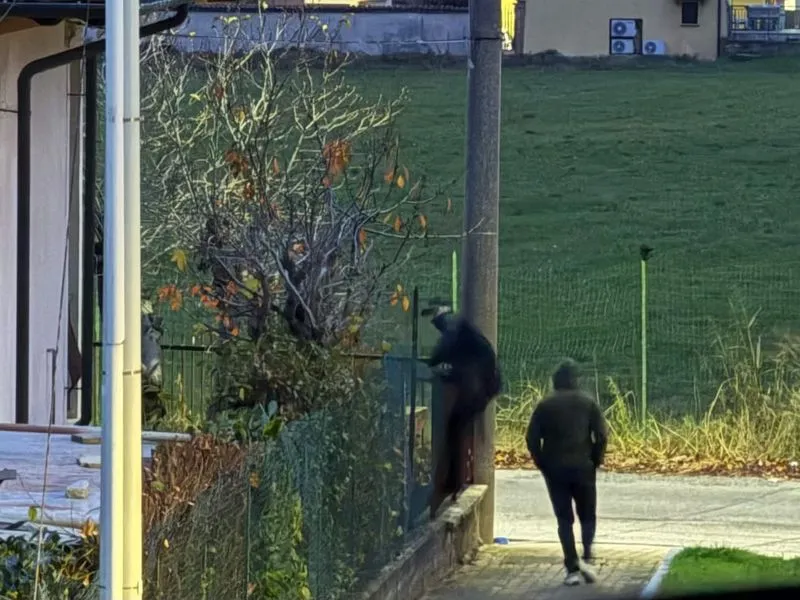 RIVALTA - Ladri in azione e allarme sicurezza, il consigliere scrive alle forze dell'ordine: «Serve più sorveglianza»