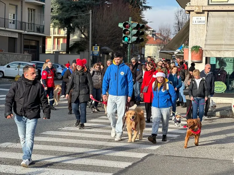 RIVOLI - Grande successo per la seconda edizione de «Una Zampa per la Vita» - FOTO