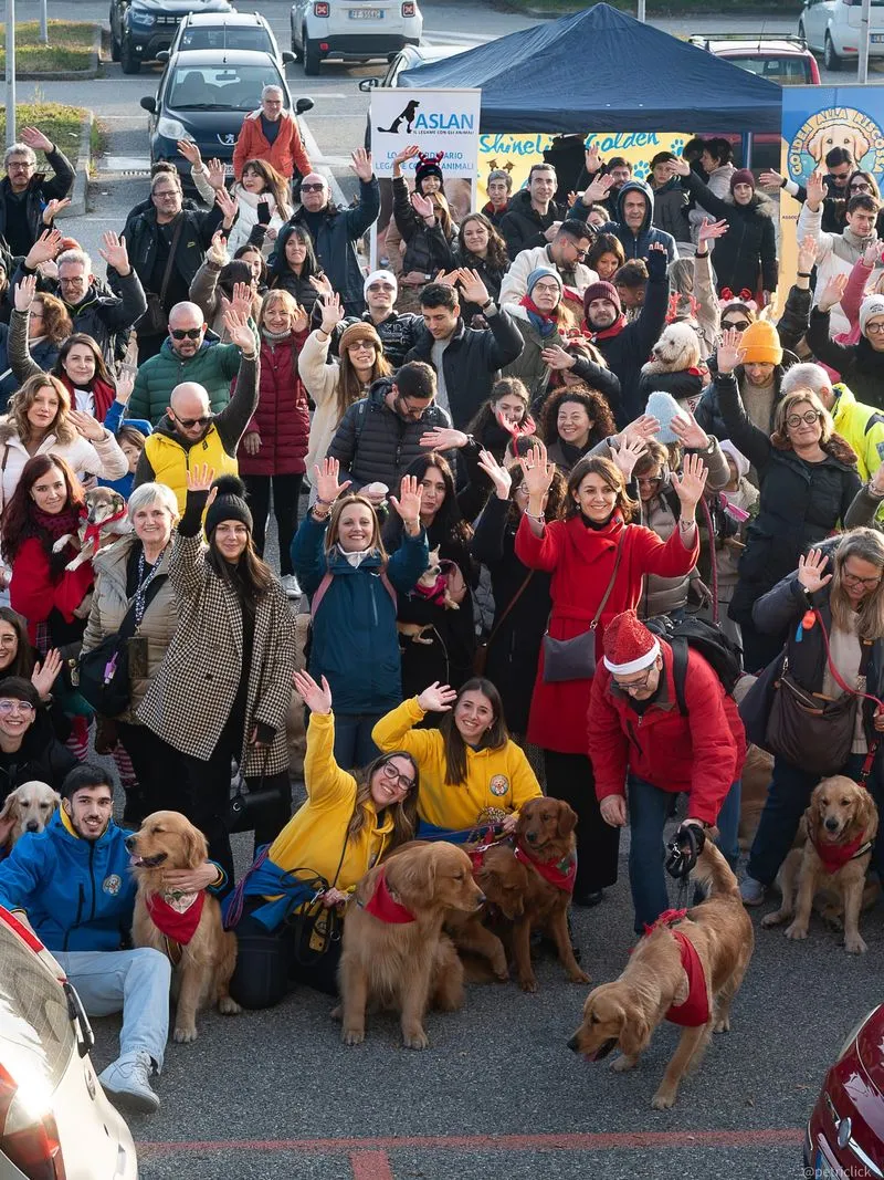 RIVOLI - Grande successo per la seconda edizione de «Una Zampa per la Vita» - FOTO