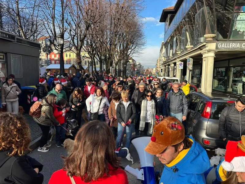 RIVOLI - Grande successo per la seconda edizione de «Una Zampa per la Vita» - FOTO