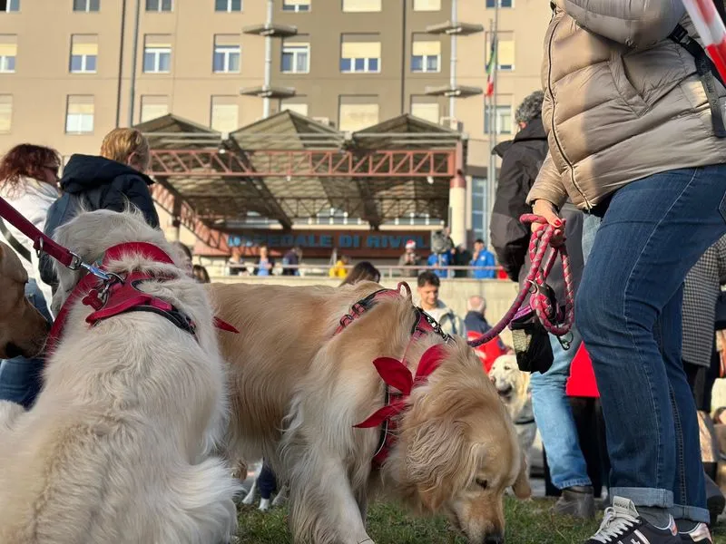 RIVOLI - Grande successo per la seconda edizione de «Una Zampa per la Vita» - FOTO
