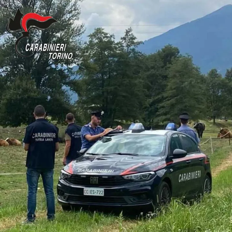RIVOLI-VENARIA - Lavoro nero e irregolarità su salute e sicurezza: due imprenditori denunciati e multati - FOTO
