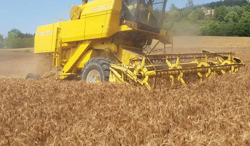 TORINO SUD - Allarme Coldiretti per «l'invasione» di grano dal Canada