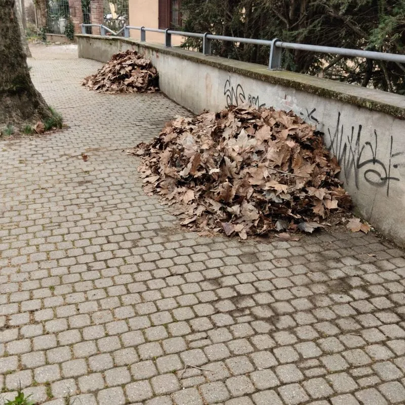 TROFARELLO - Raffica di manutenzioni in città: nuovi giochi al giardino di via Ley - FOTO