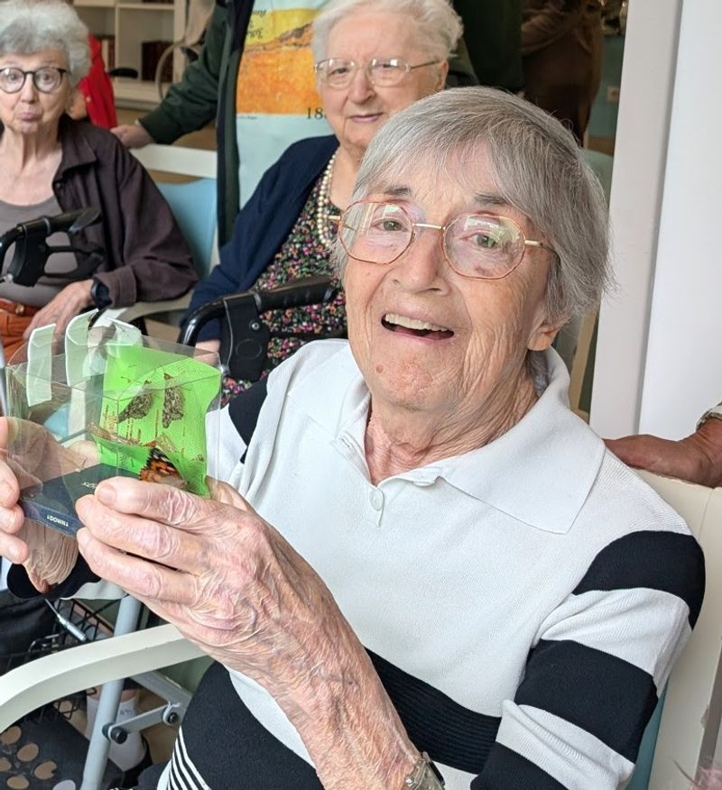 TROFARELLO - Progetto Metamorfosi: gli ospiti della casa di riposo crescono bellissime farfalle - FOTO