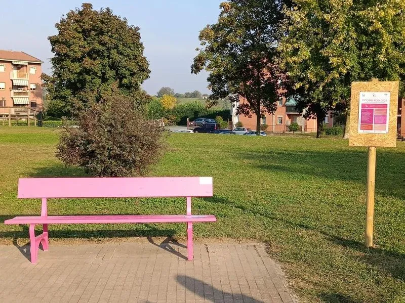 TROFARELLO - Inaugurata al Giardino Belvedere la panchina rosa della prevenzione - FOTO