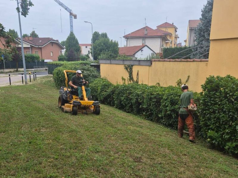 TROFARELLO - In corso la manutenzione del verde pubblico in tutta la città
