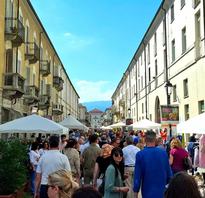 VENARIA - Nuovo record per la «Festa delle Rose»: oltre 29mila visitatori nel Centro Storico - FOTO