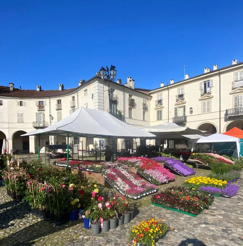 VENARIA - Nuovo record per la «Festa delle Rose»: oltre 29mila visitatori nel Centro Storico - FOTO