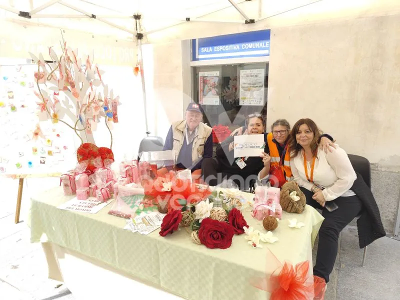 VENARIA - Successo per «Volontari in gioco: chi ci trova vince!»: associazioni protagoniste - FOTO
