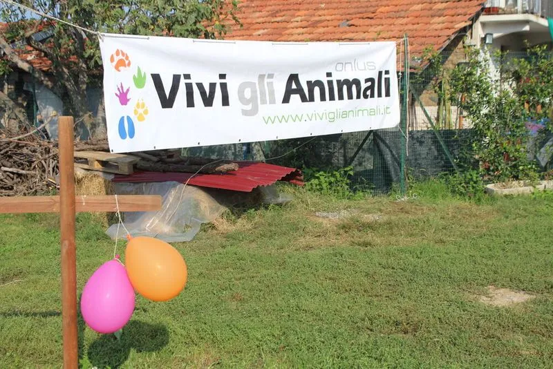 VENARIA-COLLEGNO - I 13 anni del rifugio «Vivi gli Animali»: domenica una grande festa