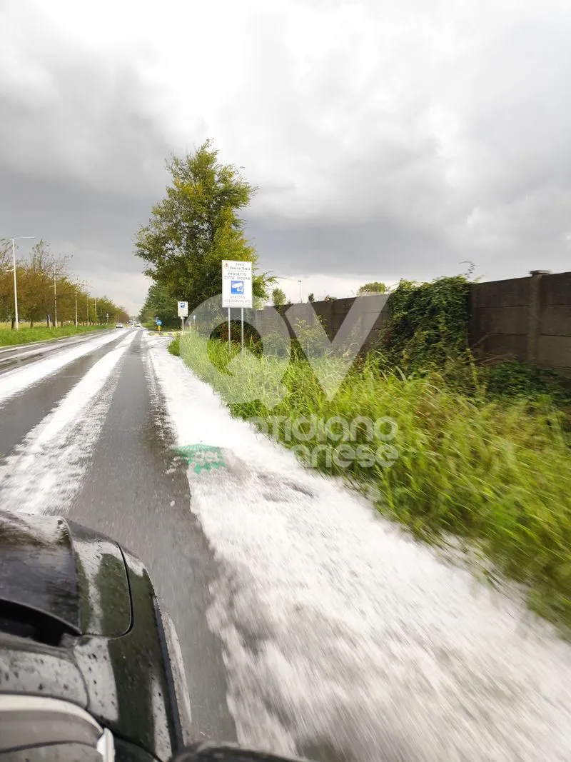GRANDINATA A VENARIA, DRUENTO E COLLEGNO - Strade imbiancate: disagi anche in tangenziale - FOTO