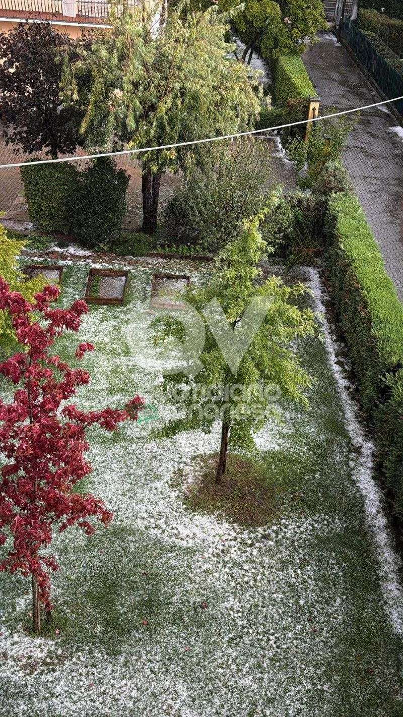 GRANDINATA A VENARIA, DRUENTO E COLLEGNO - Strade imbiancate: disagi anche in tangenziale - FOTO