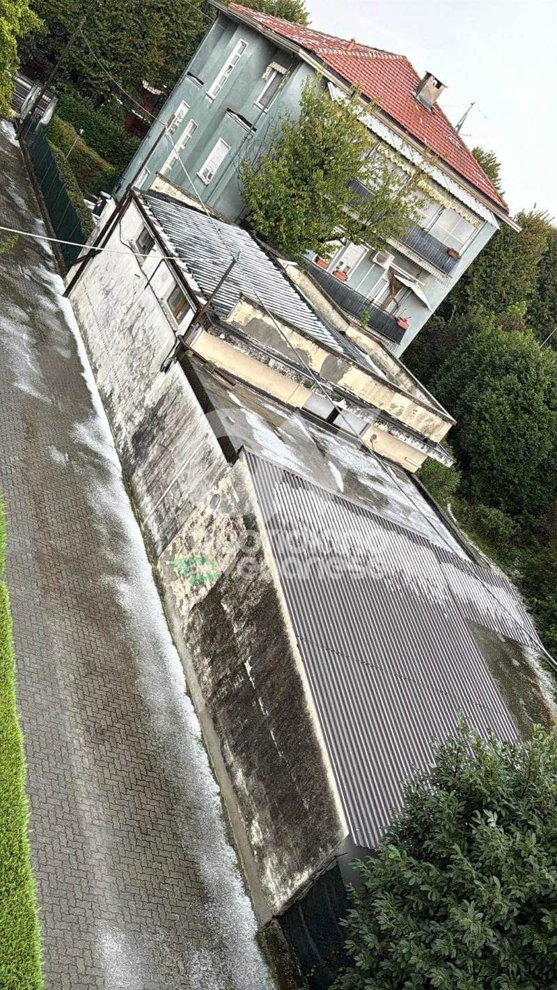 GRANDINATA A VENARIA, DRUENTO E COLLEGNO - Strade imbiancate: disagi anche in tangenziale - FOTO
