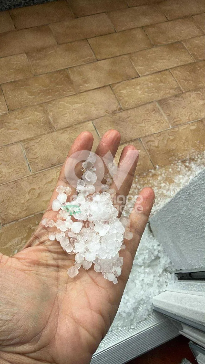 GRANDINATA A VENARIA, DRUENTO E COLLEGNO - Strade imbiancate: disagi anche in tangenziale - FOTO