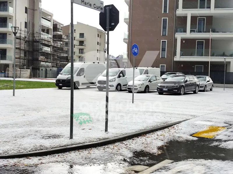 GRANDINATA A VENARIA, DRUENTO E COLLEGNO - Strade imbiancate: disagi anche in tangenziale - FOTO