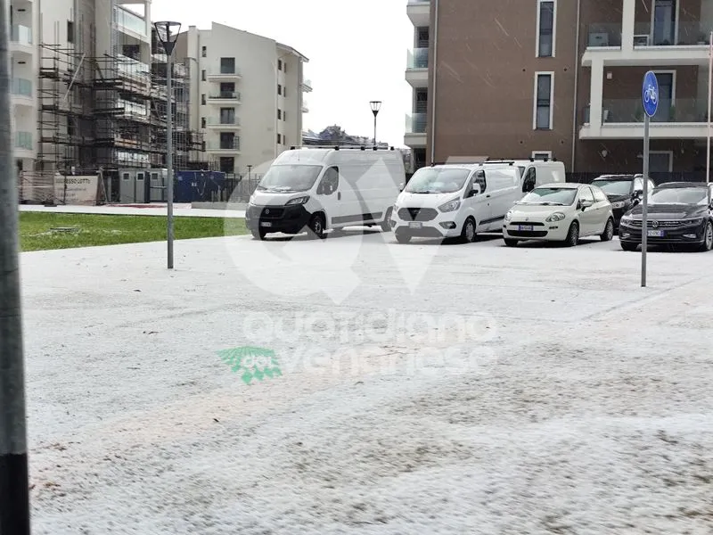 GRANDINATA A VENARIA, DRUENTO E COLLEGNO - Strade imbiancate: disagi anche in tangenziale - FOTO