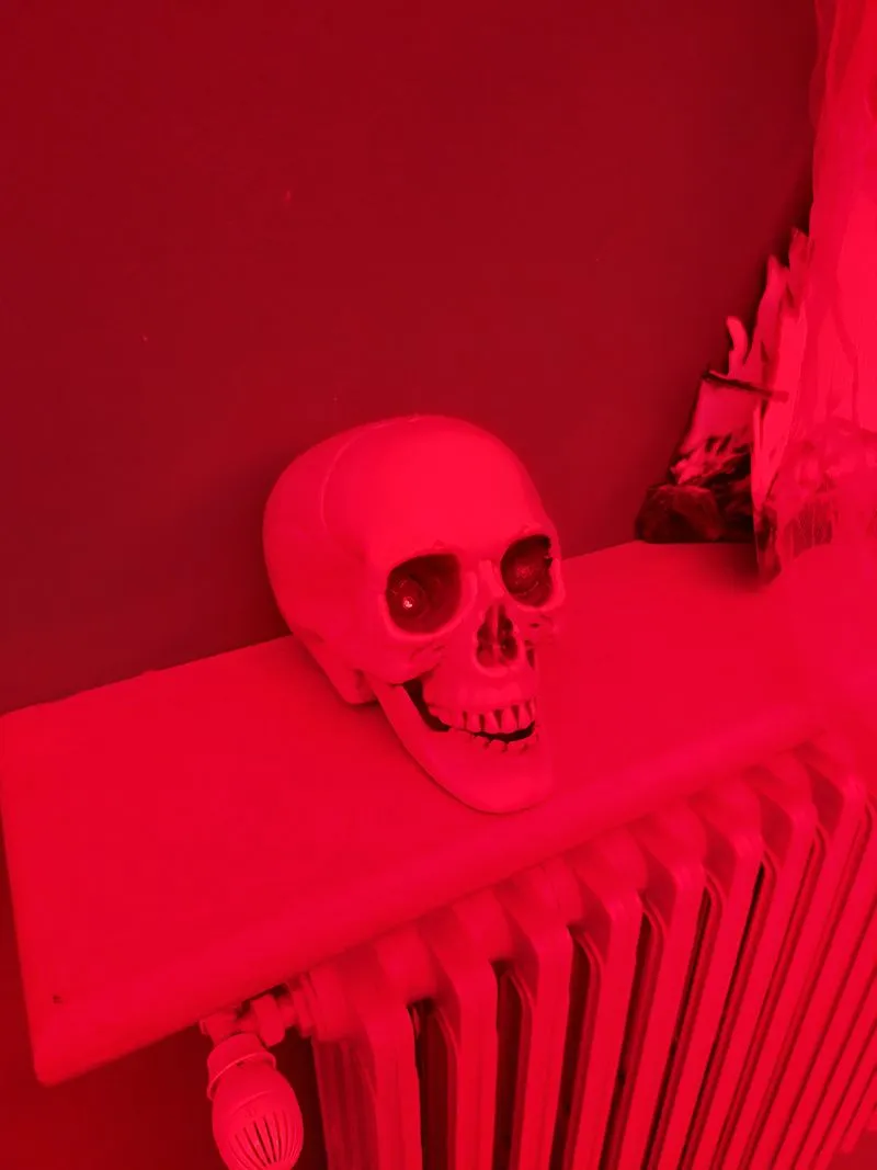 VENARIA-DRUENTO - Musica, allegria, maschere e... «dolcetto o scherzetto?»: il successo di Halloween - FOTO