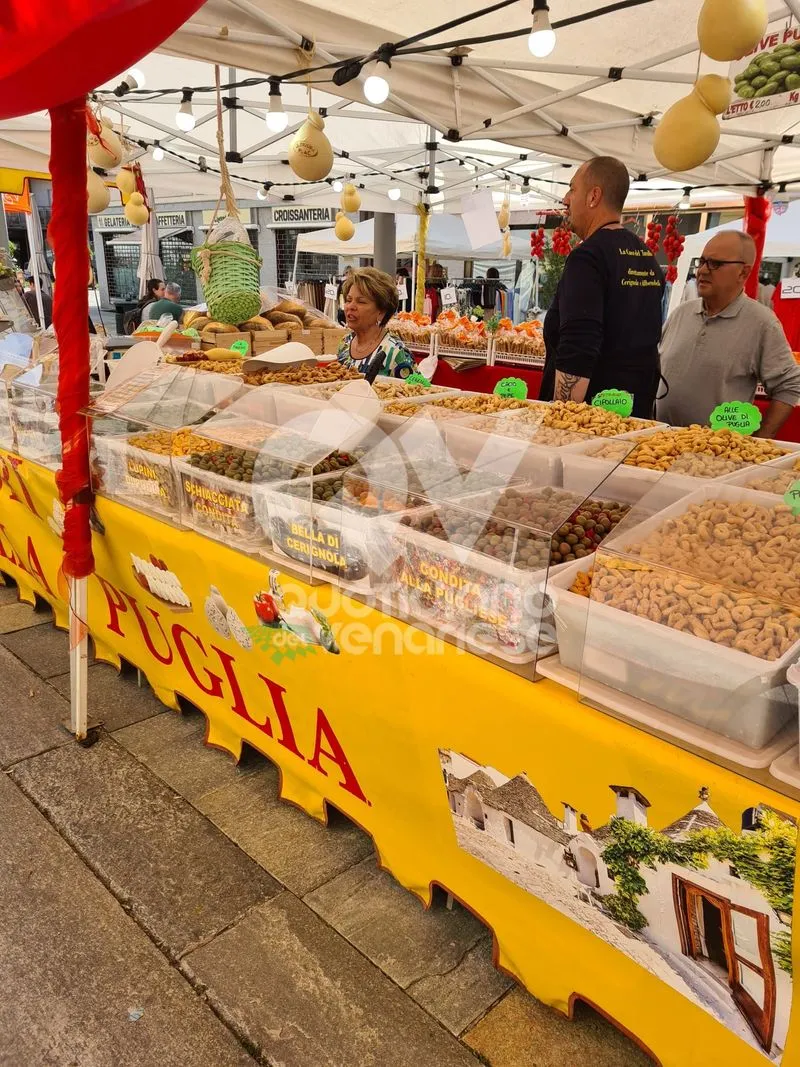 VENARIA - Centro Storico invaso di profumi per la «Festa delle Rose» e «Fragranzia»: IL PROGRAMMA DI DOMENICA - FOTO