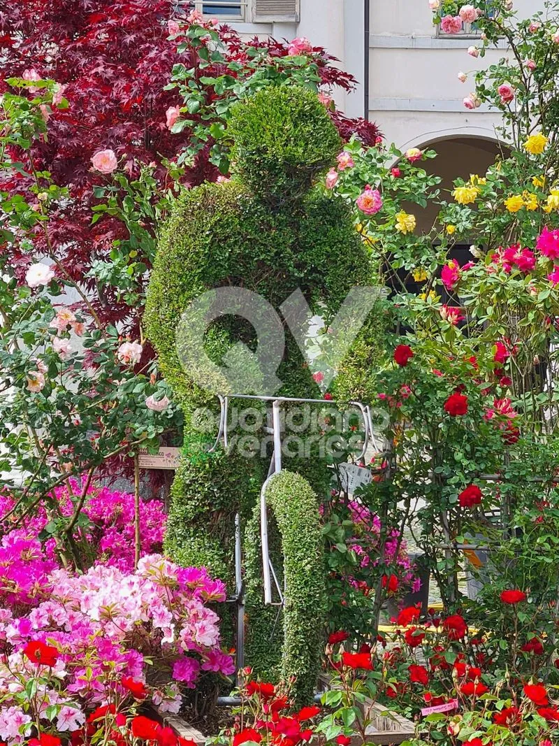 VENARIA - Centro Storico invaso di profumi per la «Festa delle Rose» e «Fragranzia»: IL PROGRAMMA DI DOMENICA - FOTO