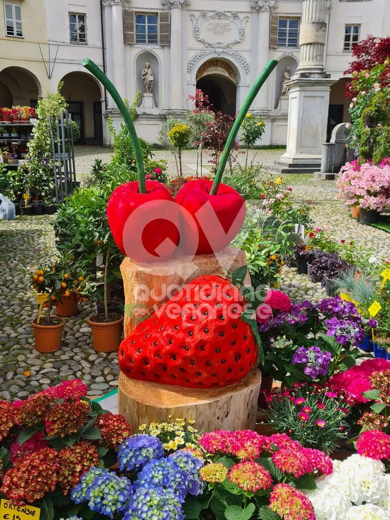 VENARIA - Centro Storico invaso di profumi per la «Festa delle Rose» e «Fragranzia»: IL PROGRAMMA DI DOMENICA - FOTO