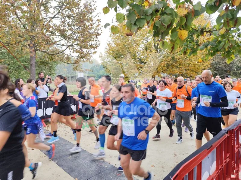 VENARIA - Sciame di calabroni punge una trentina di atleti della «Maratona Reale» e de «Una Corsa da Re»