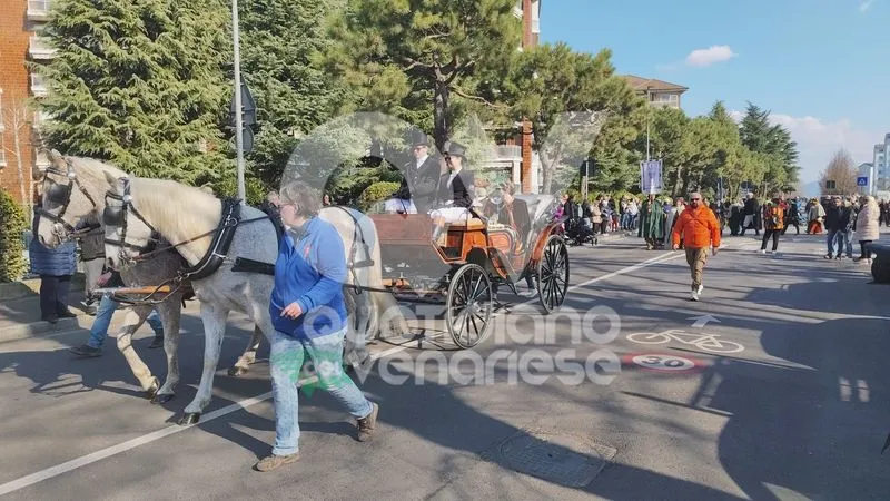 VENARIA - Carri, musica, bugie, cioccolata e tanta allegria: ecco il «Real Carnevale Venariese» - FOTO E VIDEO