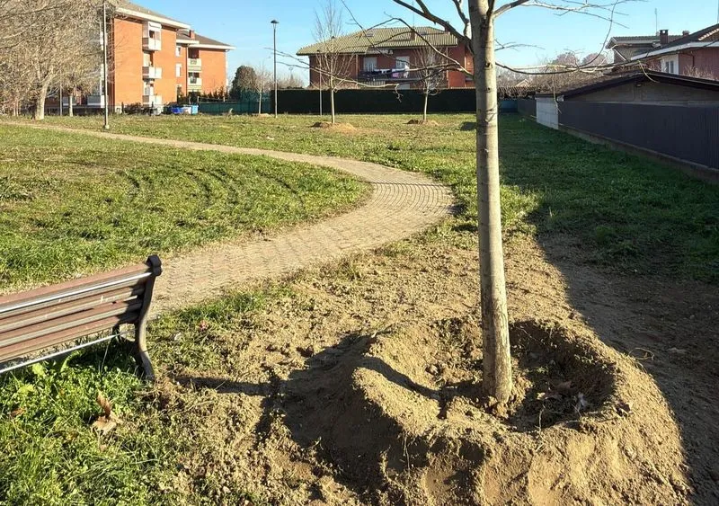 VINOVO - Partite le piantumazioni del progetto «Alberiamo Vinovo»