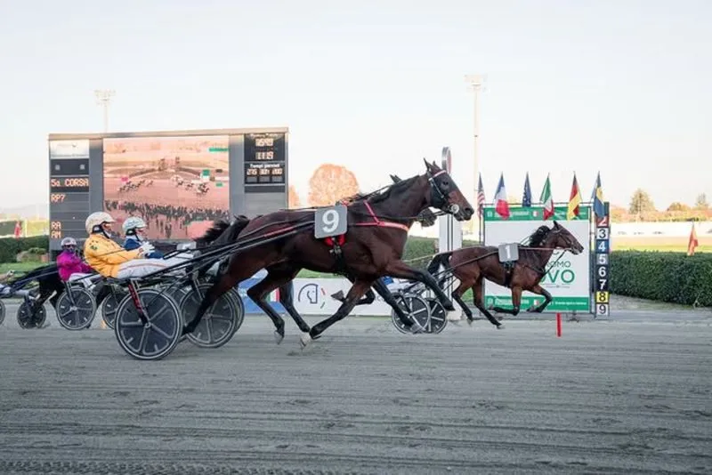 VINOVO - Il ricordo di Ferruccio Pedrazzani con il palio dei proprietari all'ippodromo
