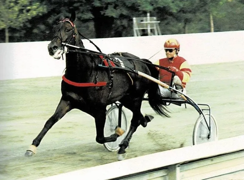 VINOVO - Prosegue senza sosta l'avvicinamento alla prima data clou della stagione all'Ippodromo