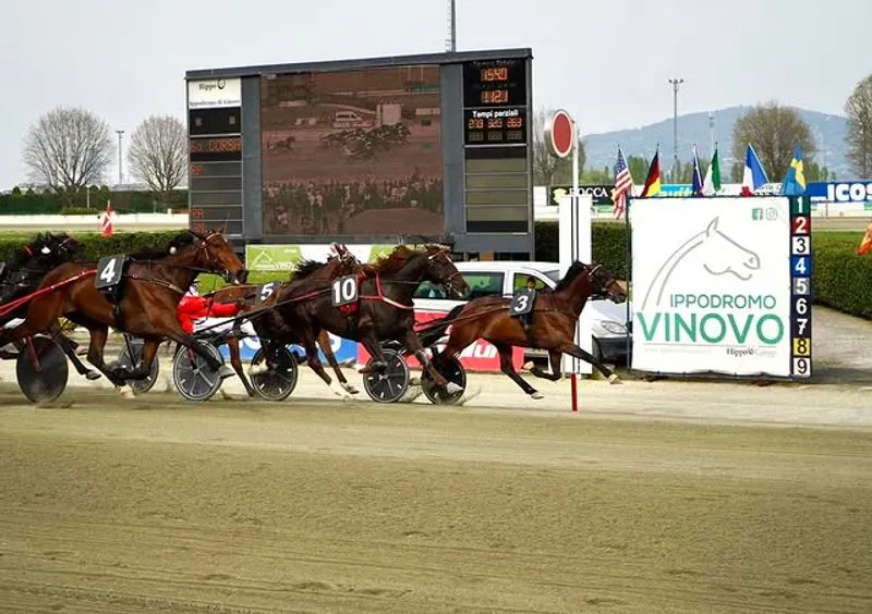 VINOVO - All'ippodromo un appuntamento infrasettimanale con il trotto