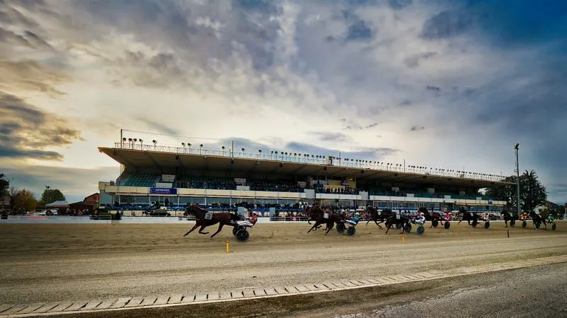 VINOVO - Domenica di trotto all'Ippodromo con otto corse e ingresso gratuito per tutti