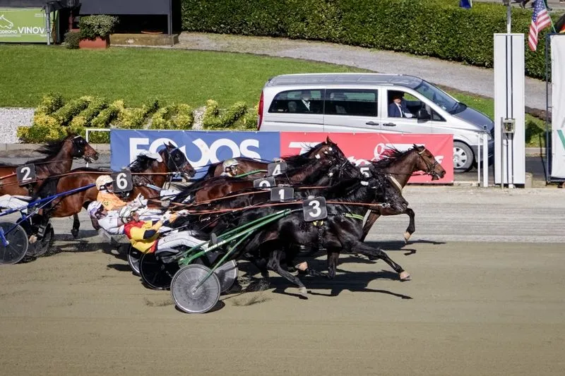 VINOVO - Oggi sette corse pomeridiane all'ippodromo: nel Premio Giotto una vetrina per i due anni
