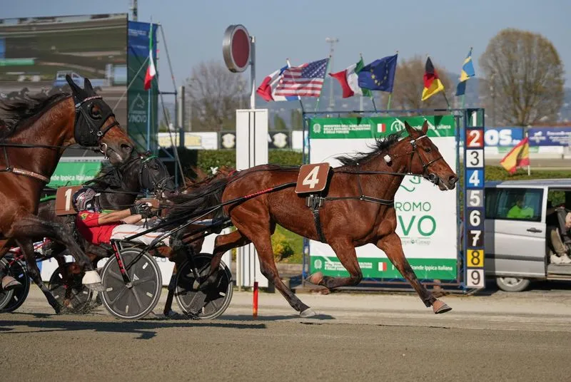VINOVO - Domenica una giornata da nove corse: spiccano le batterie Anact Stakes Plus per i puledri