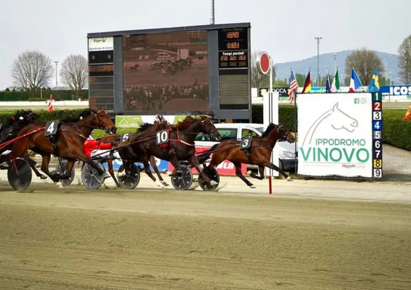 VINOVO - Un'intera domenica all'ippodromo tra cavalli e la corsa podistica Hipporun