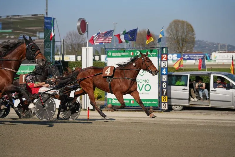 VINOVO - Gran Premio Costa Azzurra, Derby dei 4 anni: l'ippodromo capitale del trotto europeo a Pasquetta