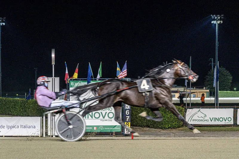 VINOVO - Grande folla per la riapertura dell'ippodromo: Guglielmo Jet e Glamour fanno festa - FOTO