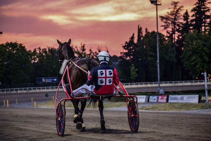 VINOVO - Ancora tre appuntamenti con il trotto in notturna all'ippodromo