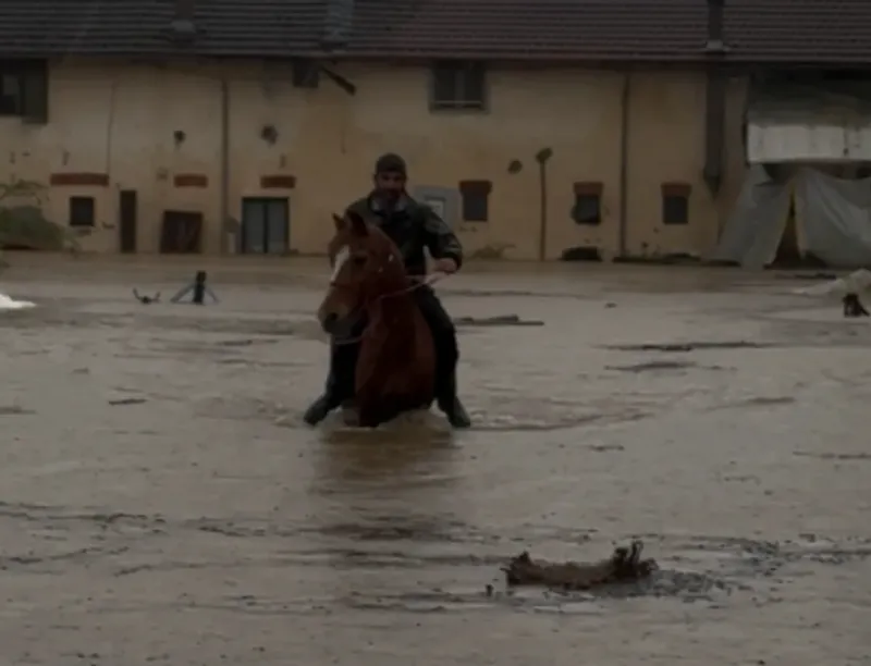 VOLPIANO - «I nostri cavalli hanno bisogno di voi»: raccolta fondi dell'Accademia dei Cavalieri dopo i danni dell'alluvione